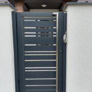IMG_4703 IMG_4703